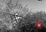Image of tightrope walking India, 1938, second 20 stock footage video 65675068236