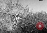 Image of tightrope walking India, 1938, second 21 stock footage video 65675068236