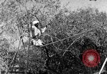Image of tightrope walking India, 1938, second 24 stock footage video 65675068236