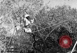 Image of tightrope walking India, 1938, second 25 stock footage video 65675068236