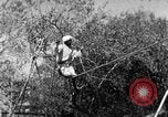 Image of tightrope walking India, 1938, second 27 stock footage video 65675068236