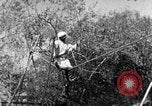 Image of tightrope walking India, 1938, second 28 stock footage video 65675068236