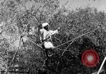 Image of tightrope walking India, 1938, second 29 stock footage video 65675068236