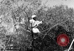 Image of tightrope walking India, 1938, second 30 stock footage video 65675068236