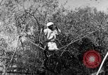 Image of tightrope walking India, 1938, second 32 stock footage video 65675068236