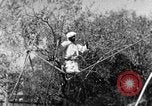 Image of tightrope walking India, 1938, second 33 stock footage video 65675068236