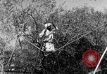 Image of tightrope walking India, 1938, second 34 stock footage video 65675068236