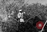 Image of tightrope walking India, 1938, second 35 stock footage video 65675068236