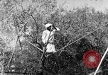 Image of tightrope walking India, 1938, second 36 stock footage video 65675068236