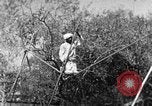 Image of tightrope walking India, 1938, second 37 stock footage video 65675068236