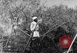 Image of tightrope walking India, 1938, second 38 stock footage video 65675068236