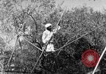 Image of tightrope walking India, 1938, second 39 stock footage video 65675068236
