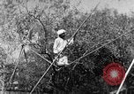 Image of tightrope walking India, 1938, second 41 stock footage video 65675068236