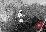 Image of tightrope walking India, 1938, second 42 stock footage video 65675068236