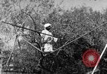 Image of tightrope walking India, 1938, second 43 stock footage video 65675068236