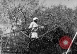 Image of tightrope walking India, 1938, second 44 stock footage video 65675068236