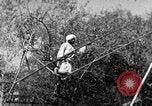 Image of tightrope walking India, 1938, second 47 stock footage video 65675068236