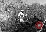 Image of tightrope walking India, 1938, second 48 stock footage video 65675068236