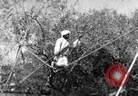 Image of tightrope walking India, 1938, second 50 stock footage video 65675068236