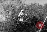 Image of tightrope walking India, 1938, second 51 stock footage video 65675068236