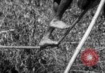Image of tightrope walking India, 1938, second 59 stock footage video 65675068236