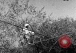 Image of tightrope walking India, 1938, second 62 stock footage video 65675068236