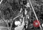 Image of tightrope walking India, 1938, second 10 stock footage video 65675068237
