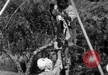 Image of tightrope walking India, 1938, second 11 stock footage video 65675068237