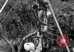Image of tightrope walking India, 1938, second 12 stock footage video 65675068237
