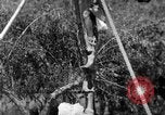 Image of tightrope walking India, 1938, second 13 stock footage video 65675068237