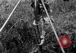 Image of tightrope walking India, 1938, second 14 stock footage video 65675068237