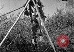 Image of tightrope walking India, 1938, second 16 stock footage video 65675068237