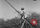 Image of tightrope walking India, 1938, second 21 stock footage video 65675068237
