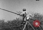 Image of tightrope walking India, 1938, second 22 stock footage video 65675068237