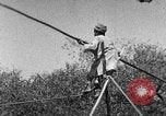 Image of tightrope walking India, 1938, second 29 stock footage video 65675068237