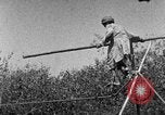 Image of tightrope walking India, 1938, second 44 stock footage video 65675068237