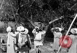 Image of tightrope walking India, 1938, second 51 stock footage video 65675068237