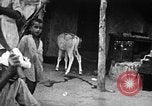 Immagine di Popolo Indiano India, 1938, secondo 59 filmato di repertorio 65675068238