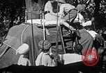 Standbild Elefanten reiten Indien, 1938, aus Sekunde 11 historischem Filmmaterial Videoclip 65675068242