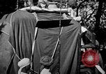 Standbild Elefanten reiten Indien, 1938, aus Sekunde 20 historischem Filmmaterial Videoclip 65675068242