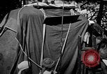 Standbild Elefanten reiten Indien, 1938, aus Sekunde 21 historischem Filmmaterial Videoclip 65675068242