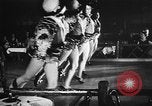Image of Cotton Club jazz orchestra Harlem New York City USA, 1930, second 48 stock footage video 65675068247