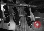 Image of Duke Ellington orchestra Harlem New York City USA, 1929, second 24 stock footage video 65675068249