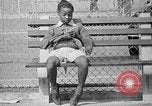 Image Lenox Avenue à Harlem Trafic 1930 Harlem New York City USA, 1938, de la seconde 11 séquences d'archives historiques vidéo 65675068253
