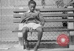 Image Lenox Avenue à Harlem Trafic 1930 Harlem New York City USA, 1938, de la seconde 12 séquences d'archives historiques vidéo 65675068253