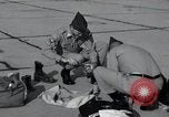 Standbild American Ordnance Association Maryland United States USA, 1962, aus Sekunde 22 historischem Filmmaterial Videoclip 65675068257