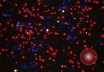 Immagine di Nazionale di albero di Natale Washington DC USA, 1971, secondo 21 filmato di repertorio 65675068261