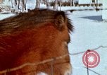 Image triage couverts de neige United States USA, 1971, de la seconde 29 séquences d'archives historiques vidéo 65675068262