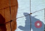 Image triage couverts de neige United States USA, 1971, de la seconde 31 séquences d'archives historiques vidéo 65675068262