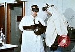 Immagine di Fire Fighting chemicals United States USA, 1971, secondo 29 filmato di repertorio 65675068265